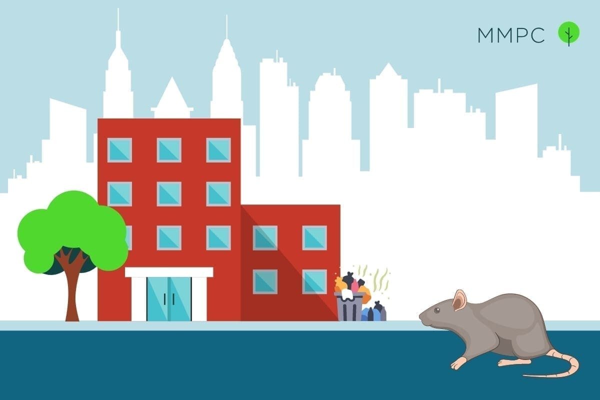 https://mandmpestcontrol.com/wp-content/uploads/2021/02/NYC-PEST-GUIDE-MICE-AND-RATS.jpg