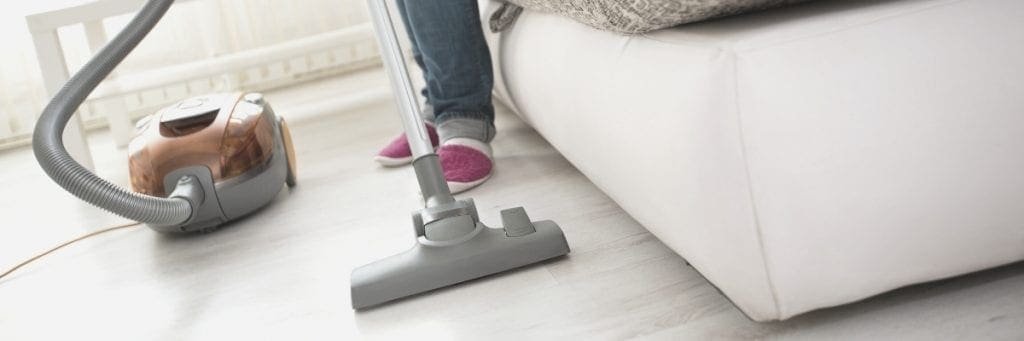 Thoroughly vacuum infested areas including between cushions, seams, floors and carpeted areas. 