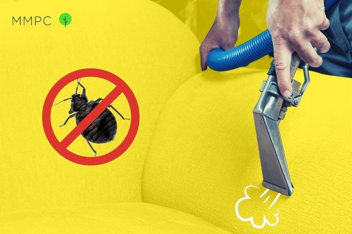 Best bug cleaners 2021