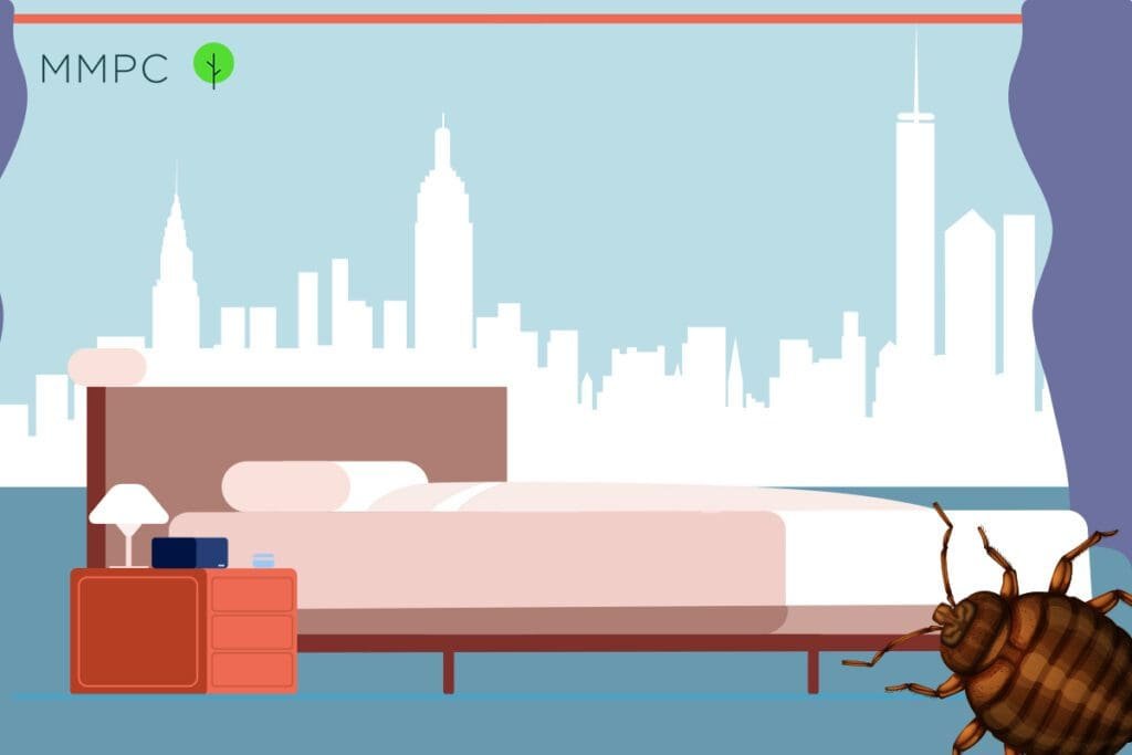 NYC Pest Control Guide Bed Bugs