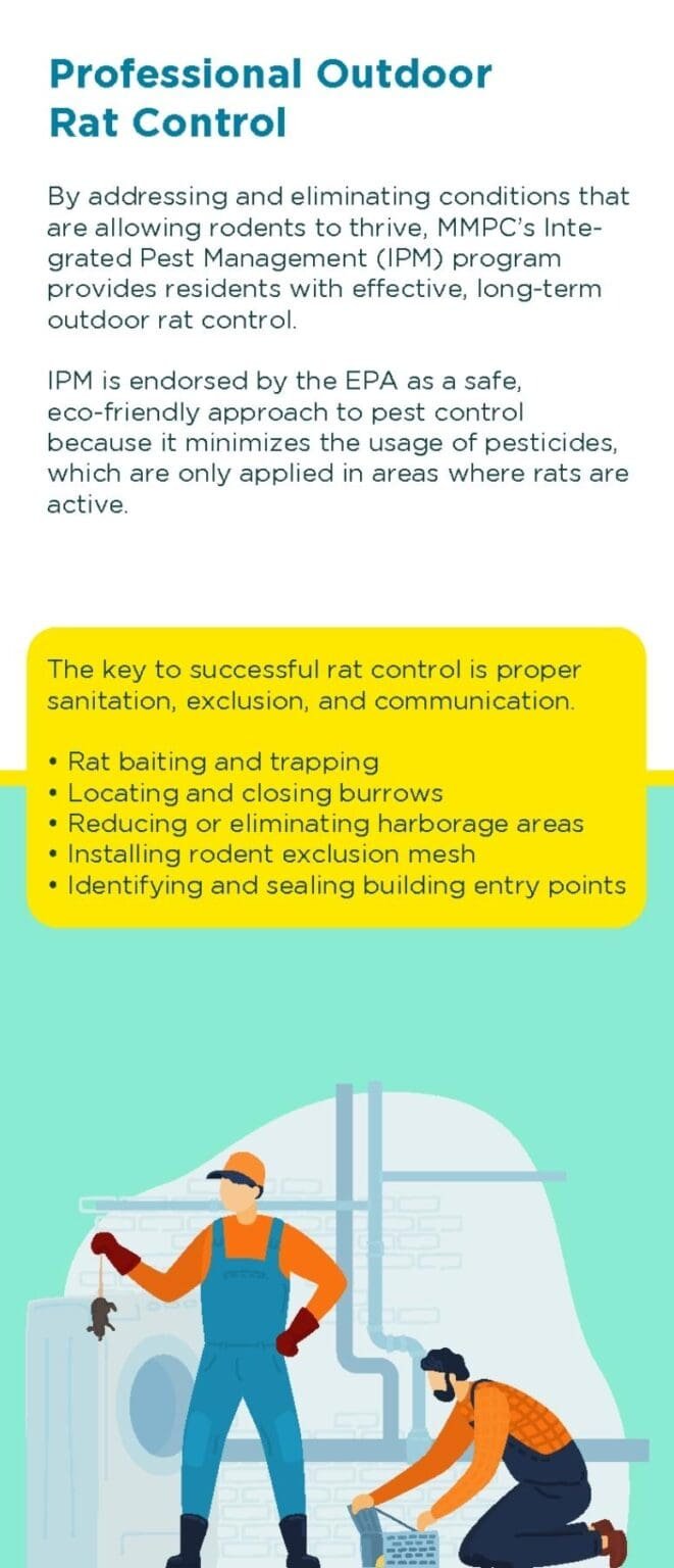 Outdoor Rat Control Pamphlet for NYC Landlords & Tenants (PDF)