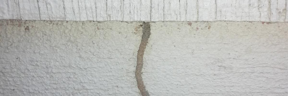 How Do I Know if I Have Termites? 5 Early Signs To Look Out For