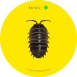 Pill Bug
